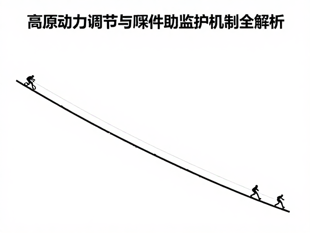 长距离爬坡动力管理，高原动力调节与同伴互助监护机制全解析