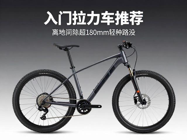 入门拉力车推荐，离地间隙超180mm，轻松适应多种路况