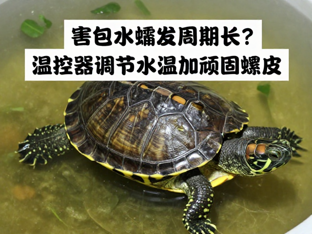 科学操作与注意事项
