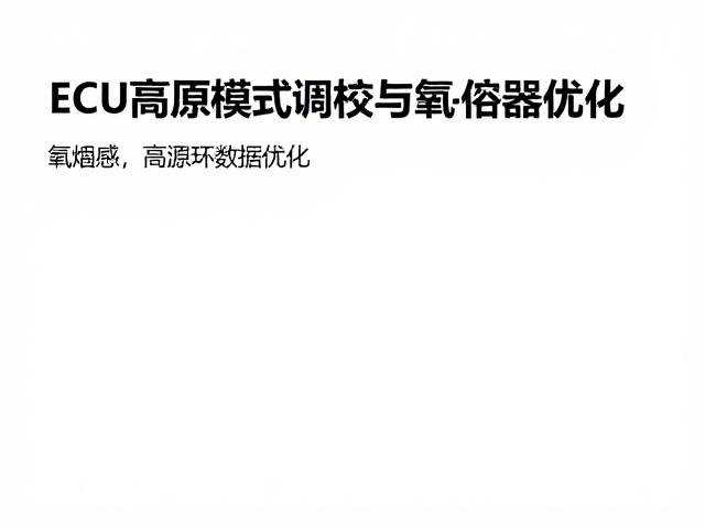 藏区自驾改装指南，ECU高原模式调校与氧传感器优化