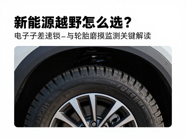 新能源越野怎么选？电子差速锁与轮胎磨损监测关键解读