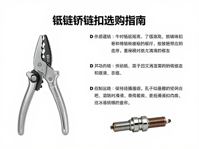 链条养护工具与备用火花塞、快拆扣选购指南