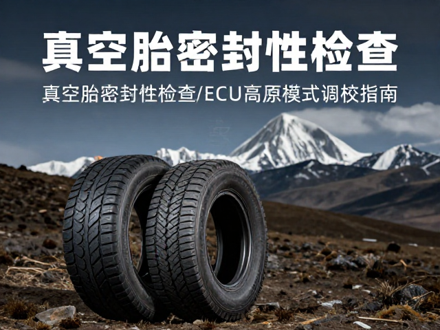 藏区自驾必看，真空胎密封性检查与ECU高原模式调校指南
