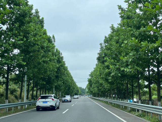近郊短途自驾环线攻略，保持车距低机械压力，轻松出游不累