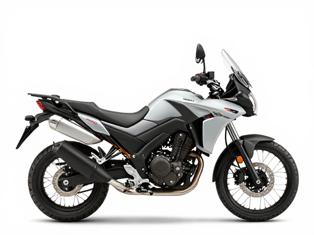 Suzuki V600 V-Strom，单缸还是双缸？轻型探险摩托怎么选