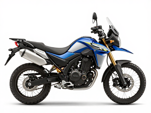 Suzuki V600 V-Strom，单缸还是双缸？轻型探险摩托怎么选