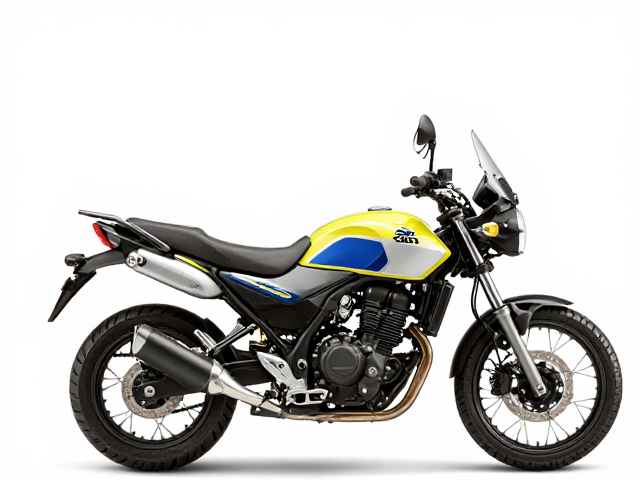 Suzuki V600 V-Strom，单缸还是双缸？轻型探险摩托怎么选