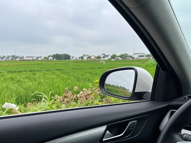 城郊单日自驾，高容错观景路线，轻松往返不踩雷