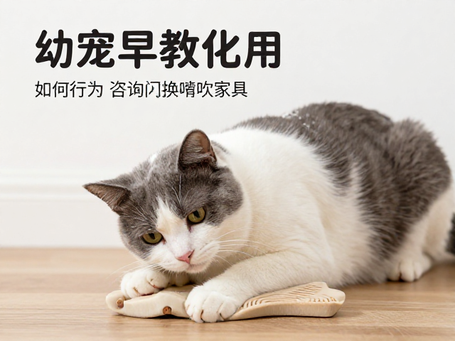 长期互动的建立与压力管理