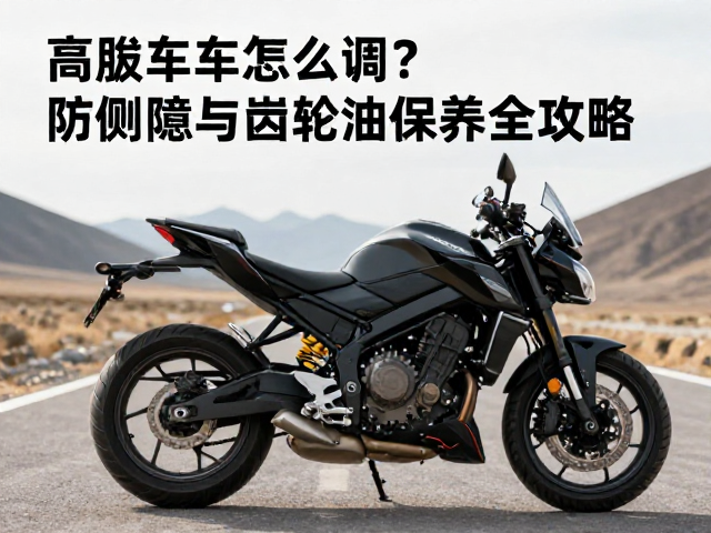 高海拔机车怎么调？防侧倾与齿轮油保养全攻略
