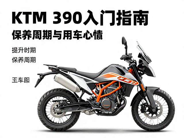 KTM 390 Adventure入门指南，保养周期与用车心得
