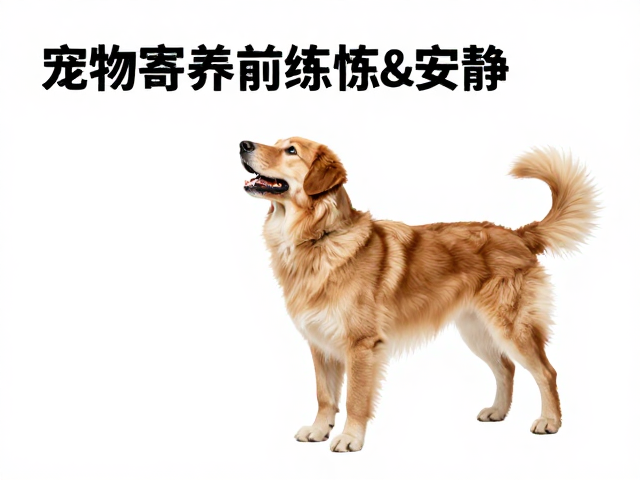 建立替代行为：以静默换取资源
