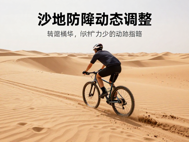 沙地防陷骑行，重心随地形动态调整，应对沙漠气候特征指南