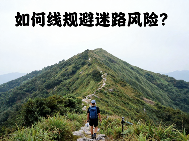 风险管控与应急决策机制