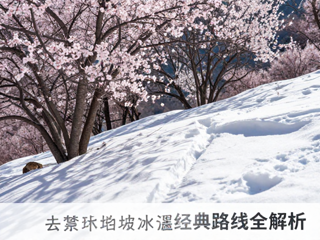 摄影技巧与光影捕捉