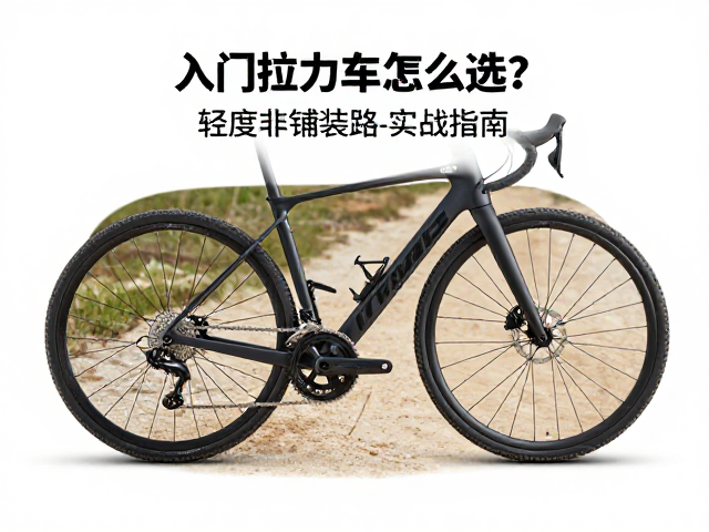 入门拉力车怎么选?电子辅助离合器,轻度非铺装路实战指南