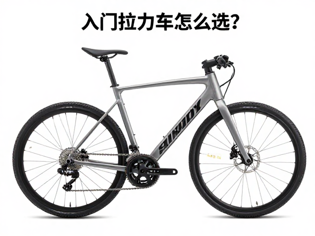 入门拉力车怎么选?电子辅助离合器,轻度非铺装路实战指南