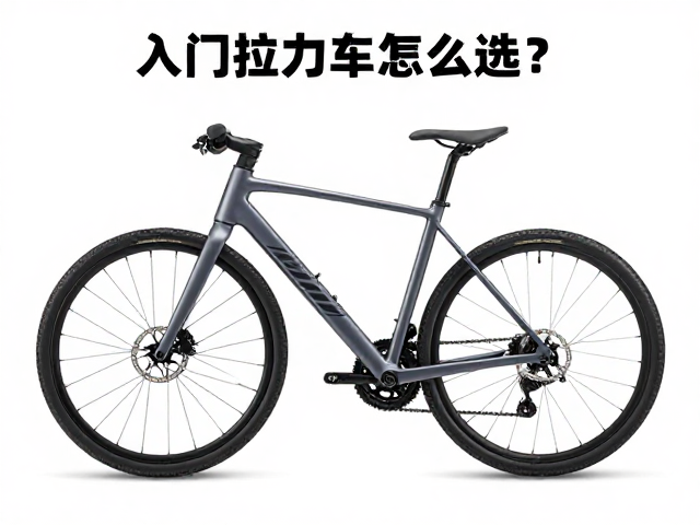 入门拉力车怎么选?电子辅助离合器,轻度非铺装路实战指南