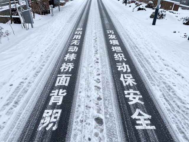 积雪路面防滑指南，注意桥面背阴，巧用发动机制动保安全