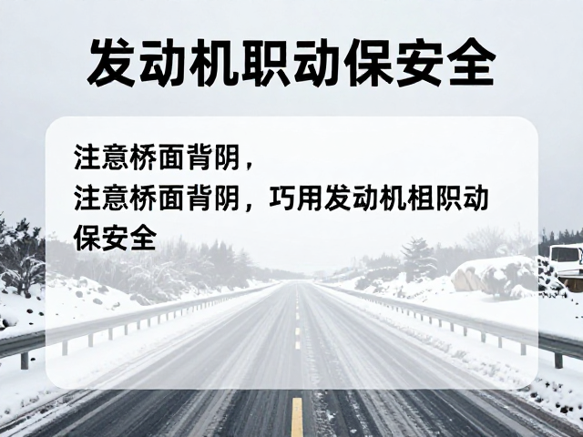 积雪路面防滑指南，注意桥面背阴，巧用发动机制动保安全