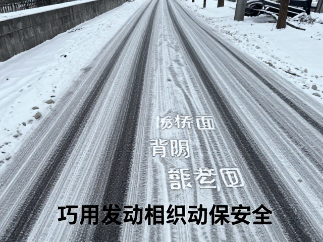 积雪路面防滑指南，注意桥面背阴，巧用发动机制动保安全
