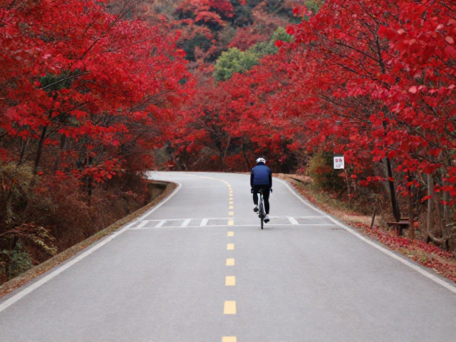 红叶风光骑行攻略，避开铺装路，算清燃油过路费