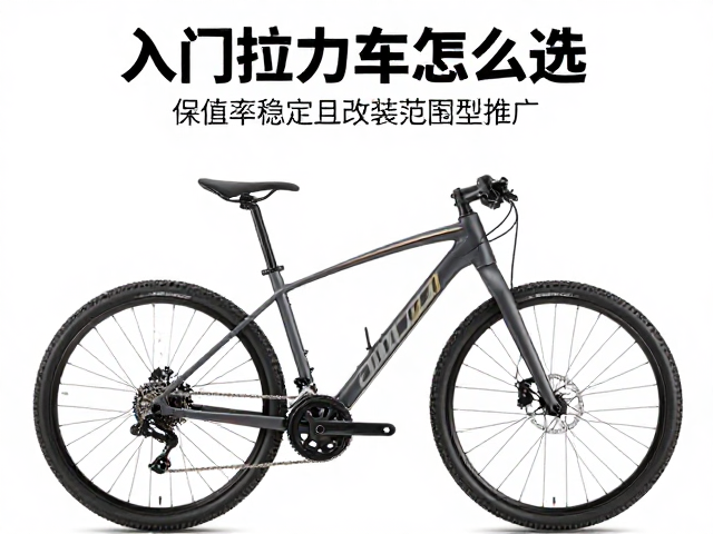 入门拉力车怎么选?保值率稳定且改装范围广的车型推荐