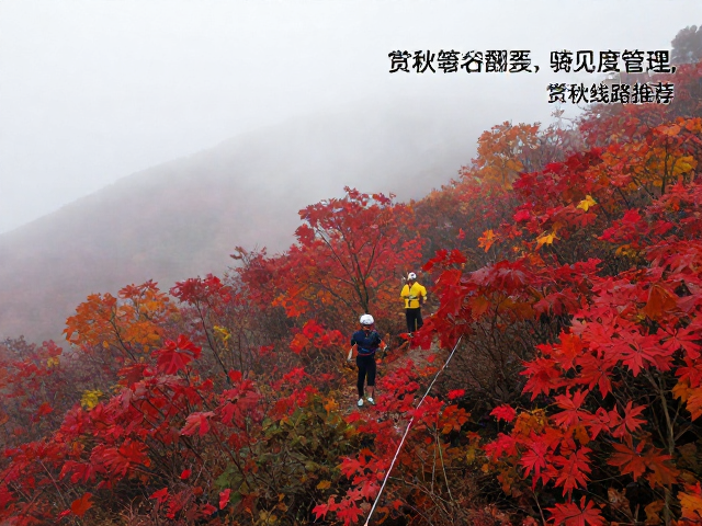 金秋红叶谷骑行攻略,雾天能见度管理与赏秋线路推荐