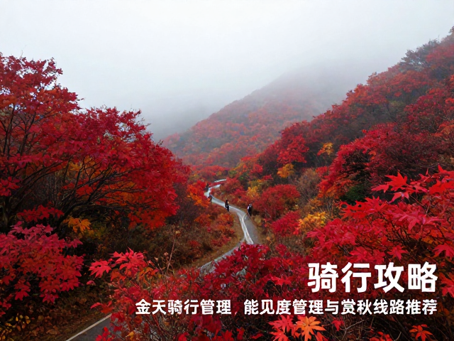金秋红叶谷骑行攻略,雾天能见度管理与赏秋线路推荐