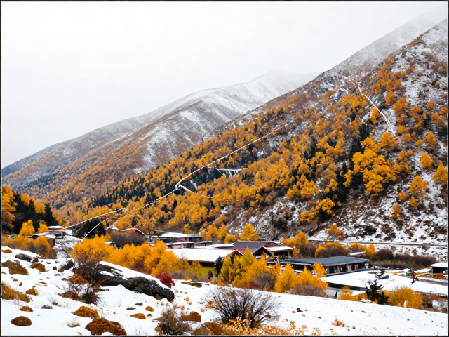 秋季雪域金黄落叶路线攻略地图，绝美风景拍摄指南