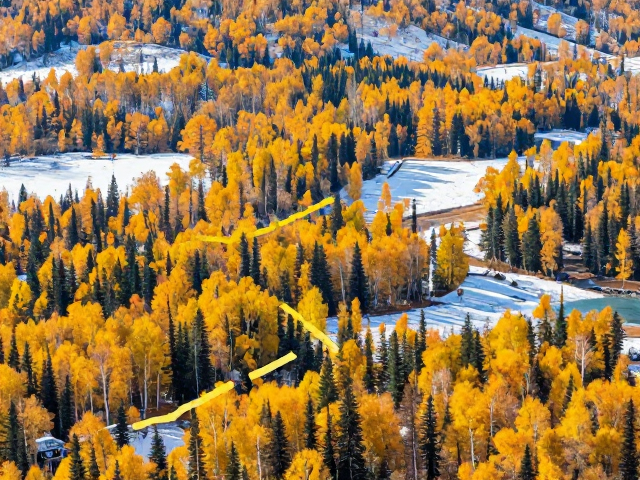 秋季雪域金黄落叶路线攻略地图，绝美风景拍摄指南
