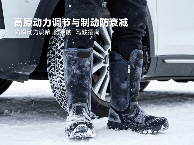 高原动力调节与制动防衰减，防霜冻靴具的安全驾驶指南