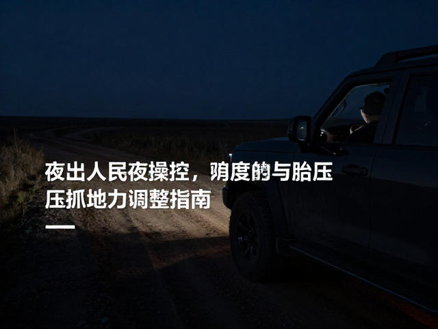 深夜荒原自驾,高难度地形夜间操控与胎压抓地力调整指南
