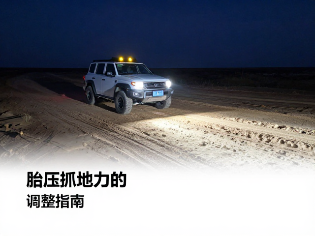 深夜荒原自驾,高难度地形夜间操控与胎压抓地力调整指南