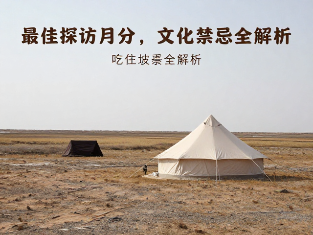 荒野边缘吃住点推荐，最佳探访月份与文化禁忌全解析