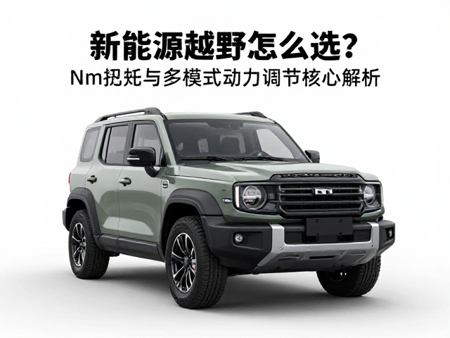 新能源越野怎么选？Nm扭矩与多模式动力调节核心解析