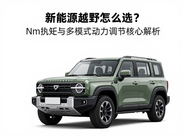 新能源越野怎么选？Nm扭矩与多模式动力调节核心解析