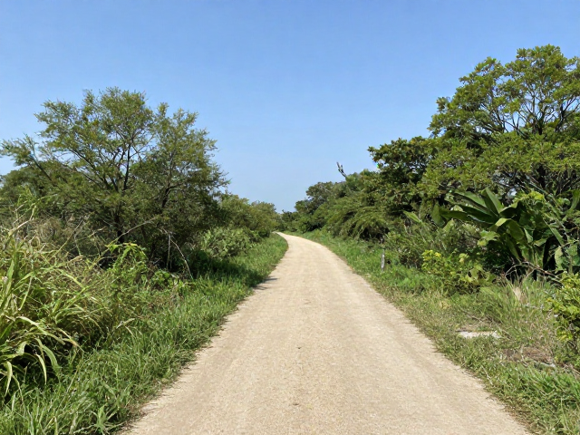 周末逃离城市,50-150km郊野轻松步道,新手也能享受的治愈之旅