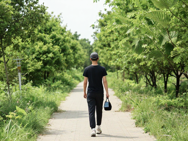 周末逃离城市,50-150km郊野轻松步道,新手也能享受的治愈之旅
