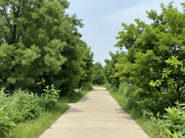 周末逃离城市，50-150km郊野轻松步道，新手也能享受的治愈之旅