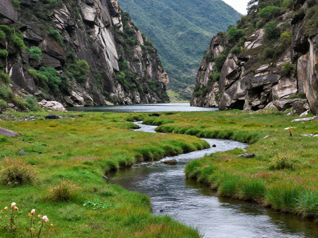 湿地生态观察与无痕山林准则