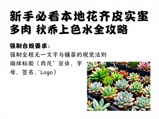 新手必看！本地花市淘齐皮实多肉，秋季上色控水全攻略