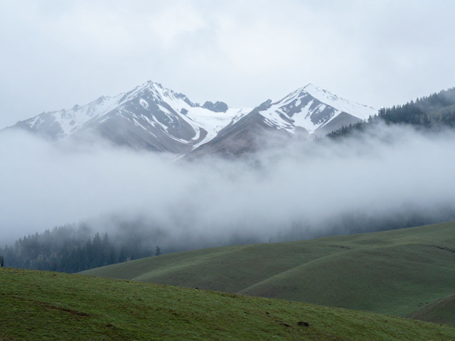 晨雾缭绕高山草甸，雪域风景拍摄攻略与绝美机位分享