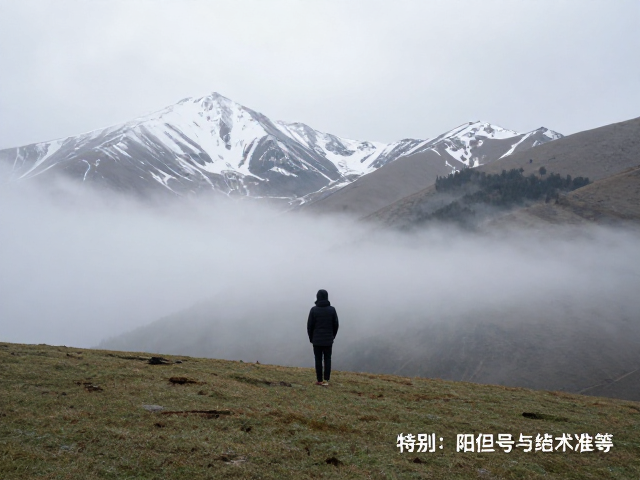 晨雾缭绕高山草甸，雪域风景拍摄攻略与绝美机位分享