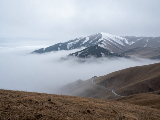 晨雾缭绕高山草甸，雪域风景拍摄攻略与绝美机位分享
