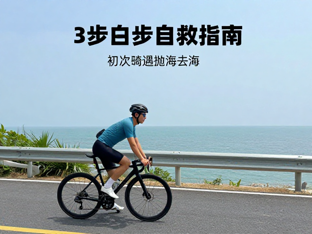 初次长途骑行沿海大道遇抛锚?3步自救指南