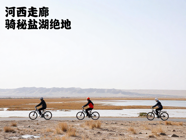 避开冬季严寒!河西走廊骑行探秘盐湖湿地绝景