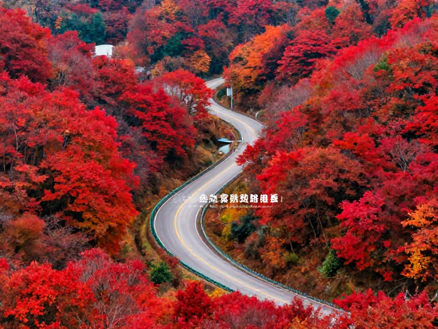 金秋赏秋线路推荐，2024最美秋收田园风光路书，自驾必看