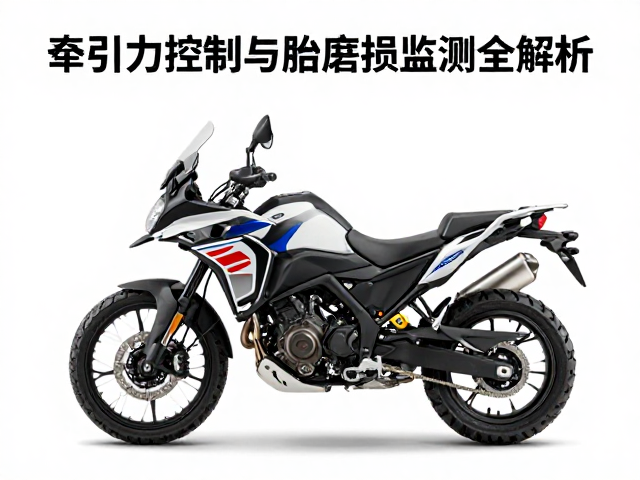 全能探险机车怎么选？牵引力控制与轮胎磨损监测全解析