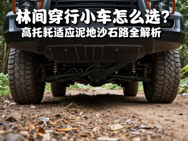 林间穿行小车怎么选？高扭矩适应泥地沙石路全解析